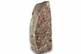 Free-Standing Polished Brecciated Chert Section - Australia #314260-1
